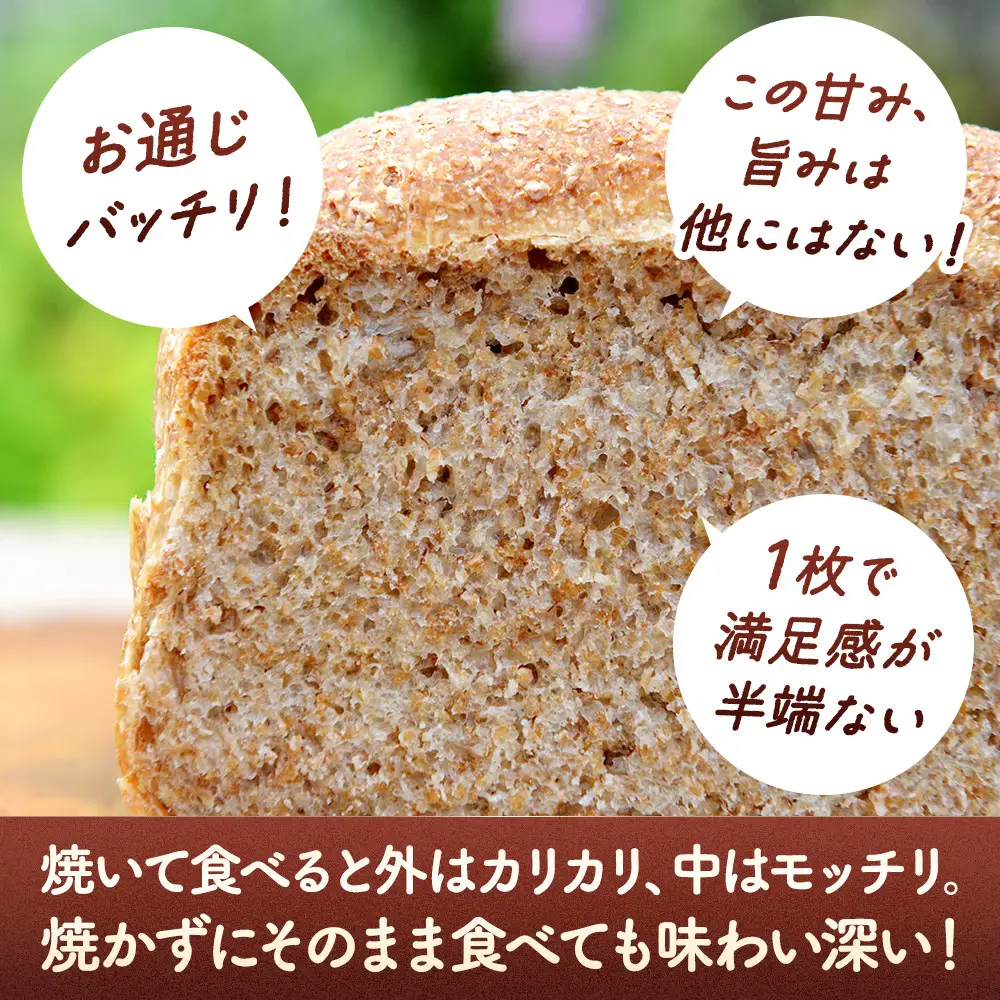 【地元TV 雑誌で多数紹介】人気NO.1！全粒粉 100％の 食パン 2本 【 パン ぱん 食品 王様のパン 北海道 旭川市 】_04656