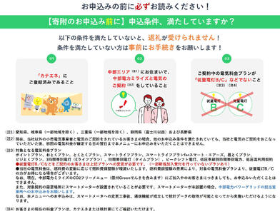 揖斐川町産CO2フリーでんき 10,000 円コース（注：お申込み前に申込条件を必ずご確認ください） 中部電力ミライズ 