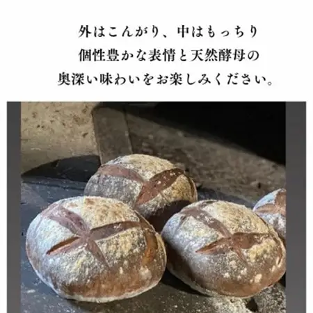愛知県みよし市産 石窯パン詰め合わせ Mサイズ 7～10個入り【配送不可地域：離島】【1578415】