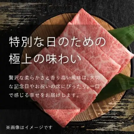 飛騨牛5等級 サーロインステーキ600g(200g×3枚)　FTA166_肉 ステーキ 牛肉 ビーフステーキ  肉 飛騨牛 牛肉 うし ビーフ_【配送不可地域：離島】【1576994】