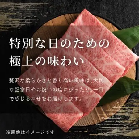 飛騨牛5等級 スネ肉煮込み用500g　FTA281_肉 飛騨牛 牛肉 うし ビーフ_【配送不可地域：離島】【1578292】