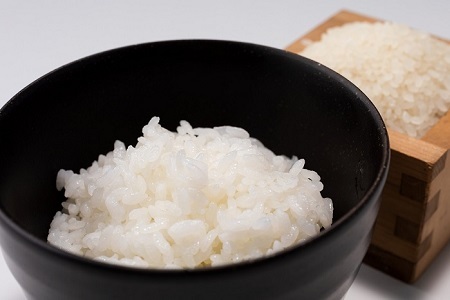 特別栽培米 こしひかり 京丹波町産 5kg 令和7年産【米 白米 新米 お米】[012AGC001]