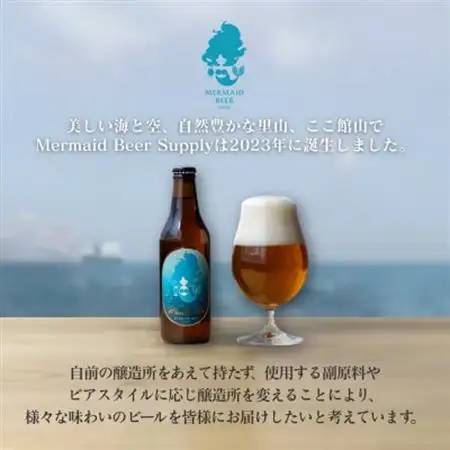 館山ブロンドエール 12本セット【配送不可地域：離島】【1578240】