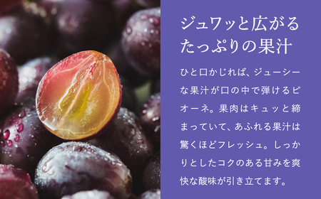 【2026年先行予約】数量限定 訳あり 豊岡ぶどう「ピオーネ」 約300g×2パック ／ ぴおーね ブドウ 葡萄 訳ありぶどう 大粒 強い甘み 爽やかな酸味 新鮮 果物 産地直送 くだもの フルーツ 上品 香り