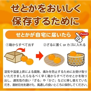 G7354_【2027年先行予約】【家庭用 訳あり】 とろける食感！ジューシー柑橘 せとか ミカン 春みかん 果物 果実 フルーツ 柑橘 デザート お取り寄せ 和歌山県 湯浅町 送料無料