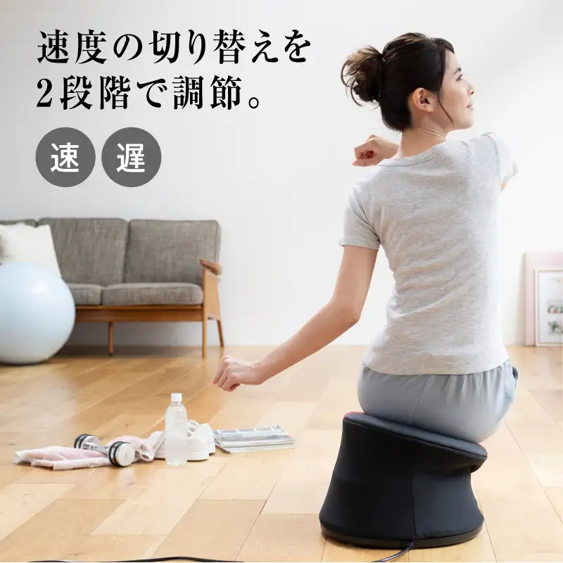 シェイクヒップホップFD-066：簡単操作でお腹と腰の筋肉をトレーニング！家庭用安全機能付き