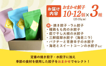 餃子 3種おまかせ便 / ギョウザ ぎょうざ 餃子 焼餃子 水餃子 冷凍 / 諫早市 / 餃子のかわしも [AHBM004]