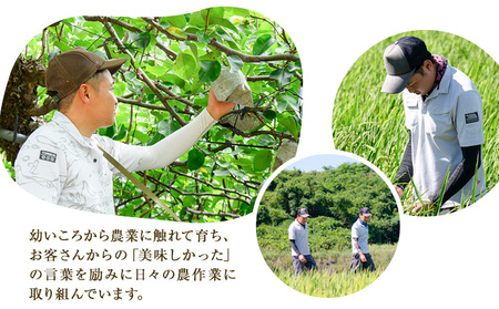令和7年産 米 にこまる 約10kg (5kg×2袋) こめ コメ 玄米 上田農園《30日以内に出荷予定(土日祝除く)》 熊本県 荒尾市 米 玄米 こめ 