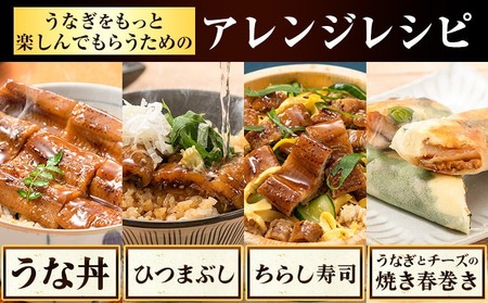 【最短3日発送】 うなぎ 蒲焼き 5尾｜鰻 国産