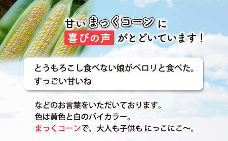 2026年発送 富良野産 生のまま食べれる！とうもろこし まっくコーン　22本　北海道 富良野市 とうきび とうもろこし 旬 季節 ふらの 甘い コーン