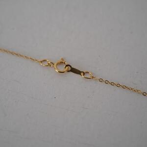 琵琶パールと池蝶貝のネックレス（THE SHELL with BIWAPearl)