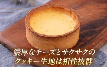 チーズケーキ 4号（12cm) 2~3人分【日本水産観光株式会社】[AKBR007]
