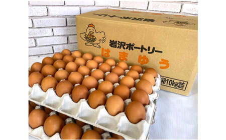 餌にこだわった三浦半島産赤たまご　Lサイズ10kg（約150個）　【横須賀商工会議所　おもてなしギフト事務局（岩沢ポートリー）】[AKET006]