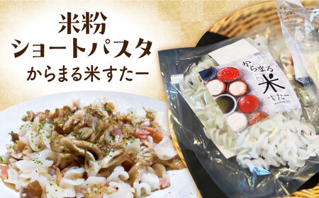 高槻産 米粉 100％ 米粉めんセット[AOAW021]米粉