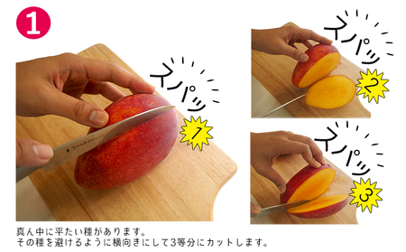 マンゴー【2026年発送】濃密マンゴー《優品・約2kg》
