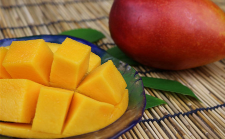 マンゴー 拠点産地【2026年発送】「宜野座村」家庭用アップルマンゴー（約2kg）