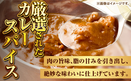 【お中元】壱岐牛カレー辛口づくし《壱岐市》【壱岐フードファクトリー】 常温配送 カレー ご当地カレー レトルト 簡単調理 [JDW040]