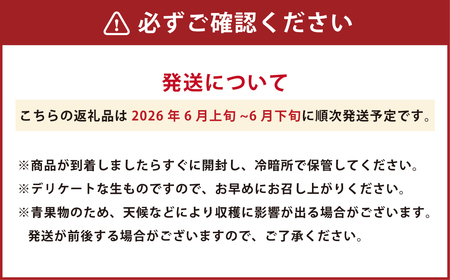 熊本県産 肥後グリーンメロン 2玉 果物 フルーツ メロン【2026年6月上旬～6月下旬迄順次発送予定】