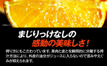 みかんジュース まどんなジュース 2本 みかんジュース[AGCT002]