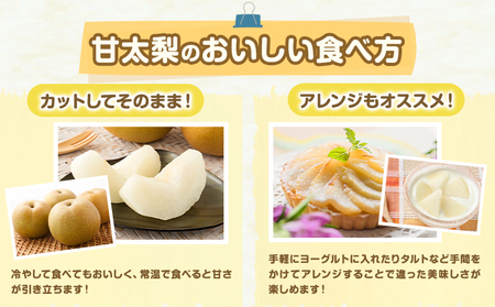 【2026年先行予約】梨 甘太梨 約3kg 藤末果樹園 《9月中旬-9月下旬頃出荷》 熊本県 荒尾市 梨 なし 果物 フルーツ デザート かんたなし 送料無料