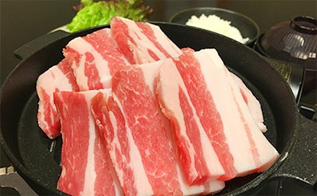 特撰黒毛和牛・黒豚のランチお食事券(1名様分) ランチ お食事券 最高級黒毛和牛 しゃぶしゃぶ 焼き しゃぶ 角ステーキ 赤身ステーキ 黒豚しゃぶ 豚肉 黒豚 焼肉 チケット 券 豚しゃぶ 選べる 予約制 肉 創業明治30年 京都府 木津川市　013-01