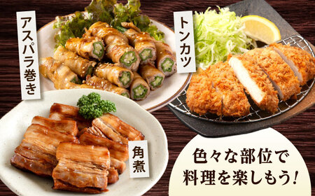豚肉 うつみ潮風豚 精肉おまかせ4パックセット（1P/180g-280g）[BABT002] 豚肉
