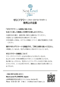 SL0242　壁に飾るフリーズドライフラワー「フレームフラワー　シルバー」水のいらない花　ゼロフラワー