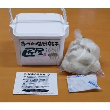 手作り佐野餃子　1kg(1個あたり40g×25個)_惣菜・加工品 餃子  ぎょうざ ギョウザ_【配送不可地域：離島】【1539255】