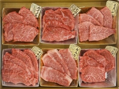 定期便 6ヶ月 博多和牛 A4ランク以上 希少部位 おまかせ6種 セット 420g (70g×6種) 牛肉 肉 6回 ※配送不可：離島
