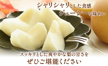 梨 紀州和歌山県産の梨 約2kg