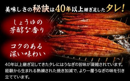 うなぎ 大型サイズ 国産うなぎ蒲焼き 1尾