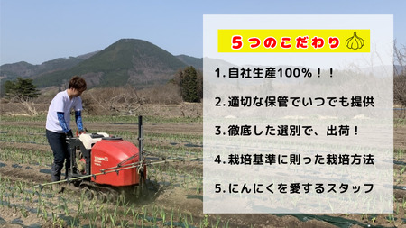 【訳あり】田子町産バラにんにく『２kg』
