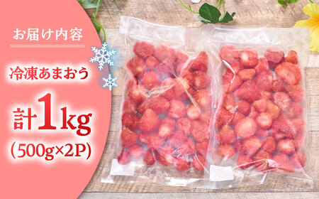 【2026年4月以降発送】福岡産 冷凍 あまおう 1kg （500g×2袋） 桂川町/南国フルーツ株式会社 [ADBW005] あまおう いちご 果物 冷凍 フルーツ 