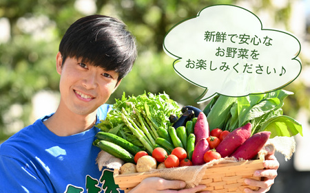 定期便 ≪12ヶ月連続お届け≫ 川合農園もっちゃん季節のお野菜お届け箱 ～季節の野菜や果実を毎月7品種前後お届けします！～ 【野菜 やさい 野菜セット 詰め合わせ おまかせ 新鮮 旬 定期便 12回 産地直送】 [K-7501]