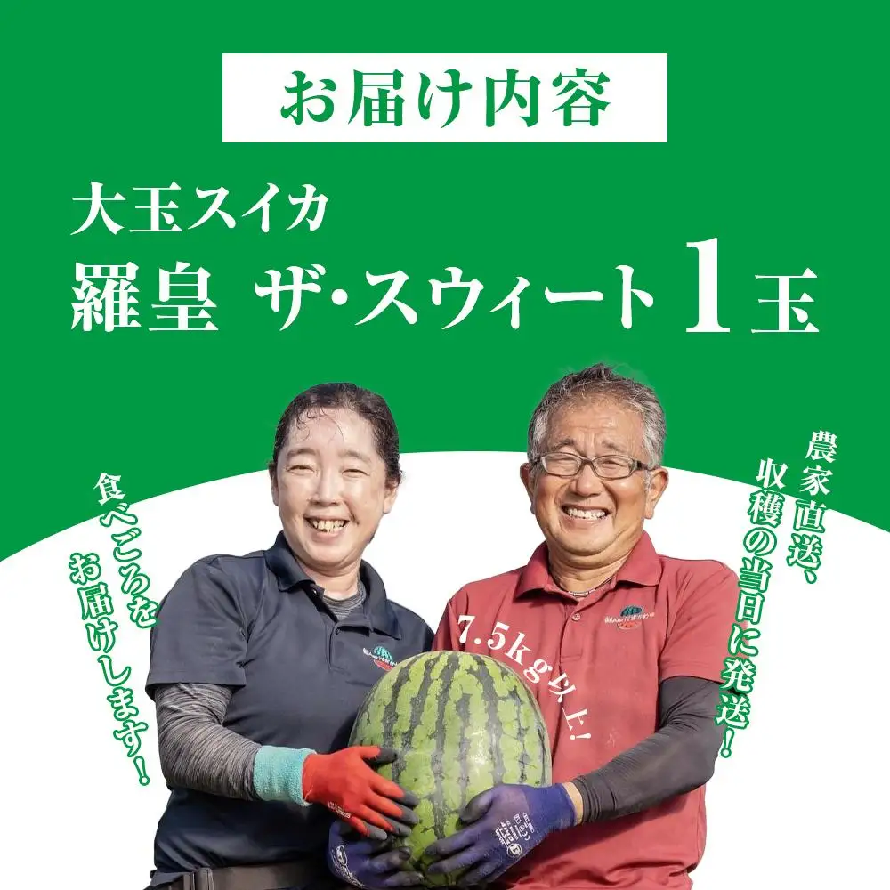 【先行予約】大玉スイカ『羅皇ザ・スウィート』 2026年7月上旬～7月中旬頃に順次発送  スイカ
