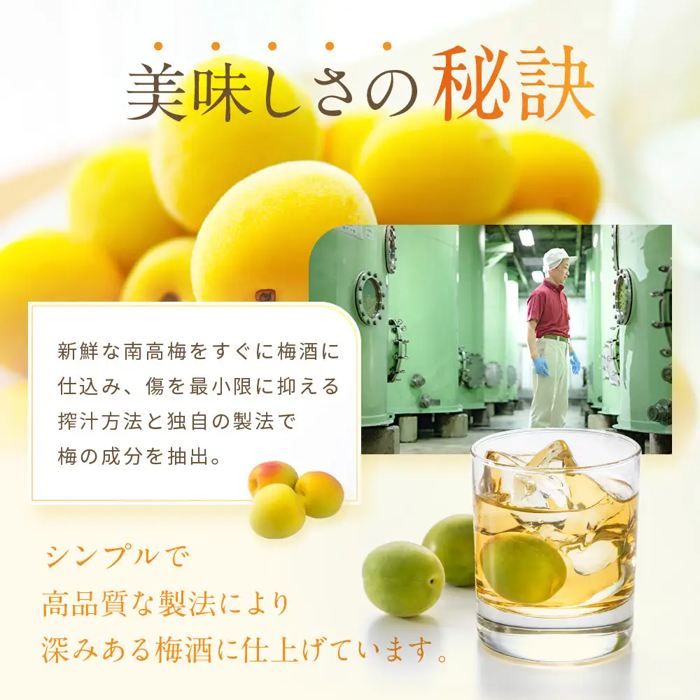 蜂蜜の梅酒 720ml 中野BC UMESHUfor