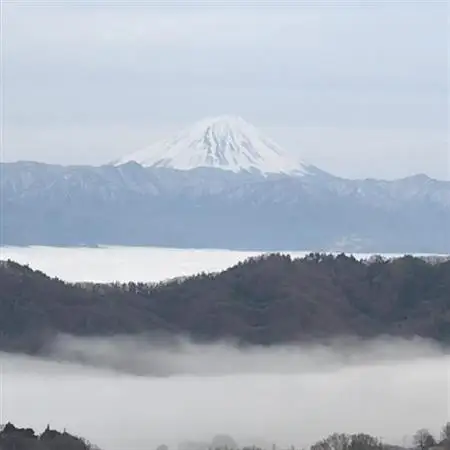【2026年発送】10月上旬発送「牧丘天空の丘マスカットノワール」約1kg(2～3房)【配送不可地域：離島】【1579814】