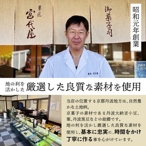 銘菓 綾人詰め合わせ 10個入り 京都 綾部 和菓子 贈り物 ギフト 贈答 化粧箱 梅 白あん 手作り おもち 南高梅 餅菓子 プレゼント スイーツ デザート 菓子