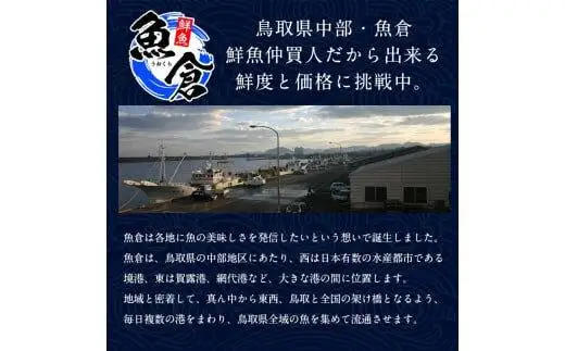 【ボイル】鳥取ブランド　松葉ガニ　『五輝星』   | 松葉 カニ 訳あり活 特大 美味しさに 訳あり 不揃い でないたっぷり　※2026年11月上旬～2027年3月下旬頃に順次発送予定　※着日指定不可
