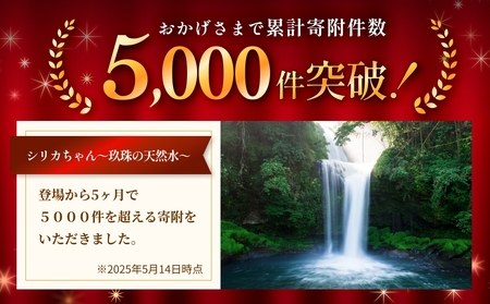 【6ヶ月定期便】天然水 シリカ 525ml × 40本 ＜シリカちゃん〜玖珠の天然水〜＞   水 水 500ml 500ml 天然水 天然水 ラベルレス 天然シリカ 水 シリカ水 ミネラルウォーター 国産 保存可能 水 防災 備蓄 シリカ水 シリカ水 SDGs
