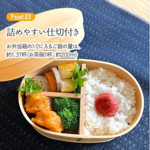 お弁当箱 曲げわっぱ 天然杉 「曲げわっぱランチボックス」 1段 550ml ランチボックス 曲げわっぱ 曲げわっぱお弁当箱 天然杉お弁当箱 温かみ感じるお弁当箱 550mlお弁当箱 スケーター株式会社 15-044