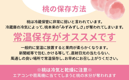 桃 【先行予約】大きいサイズ3玉(約1kg)  桃