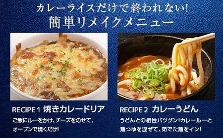 赤城牛 ビーフカレー ゴールドタイプ 200g×10個 カレー レトルト 牛肉 銘柄牛 赤城牛 長期保存 群馬 渋川市 F4H-0471