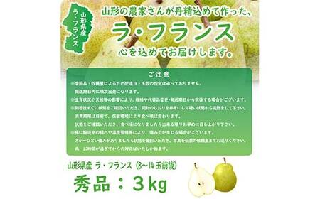 《令和8年産先行受付》※数量・期間限定※ 山形県産ラ・フランス 秀品 3kg 8玉～14玉前後 なし ナシ 梨 デザート フルーツ 果物 くだもの 果実 食品 山形県 FSY-2641