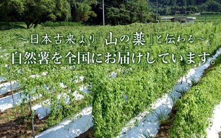 自然薯姫 （青果） 約2kg 【発送不可期間:毎年4月下旬-11月上旬】