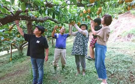 九重町産 梨 約5kg 豊水 新高 果物 フルーツ 大分県産 【2026年9月上旬-10月上旬発送予定】