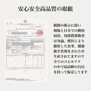 【定期便　全6回】最高級コーヒー コピルアク 100g【粗挽き（ネルドリップ）】