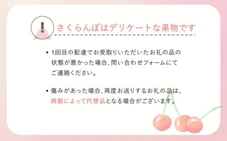 先行予約 さくらんぼ 紅秀峰 秀Lサイズ 500g バラ詰め 令和8年産 ns-bsslb500