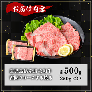 鹿児島県産 A5等級 黒毛和牛 霜降り ロース すき焼き用 (計500g) 【KNOT】 A644-v01