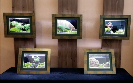 壁に掛ける額縁型苔テラリウム『苔額奏』